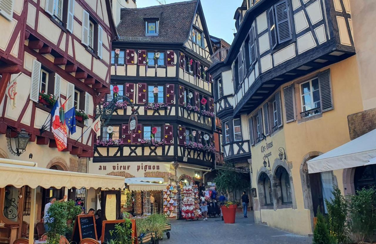 Le Bienvenue A Colmar - Parking Prive Inclus, Centre A Deux Pas Apartment Bagian luar foto
