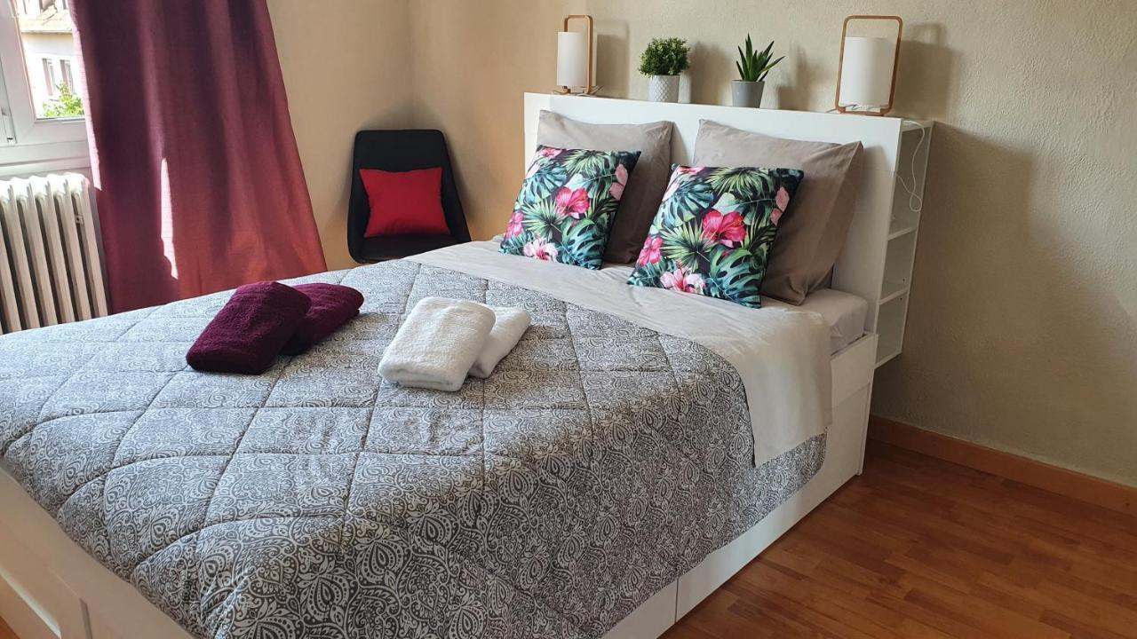 Le Bienvenue A Colmar - Parking Prive Inclus, Centre A Deux Pas Apartment Bagian luar foto